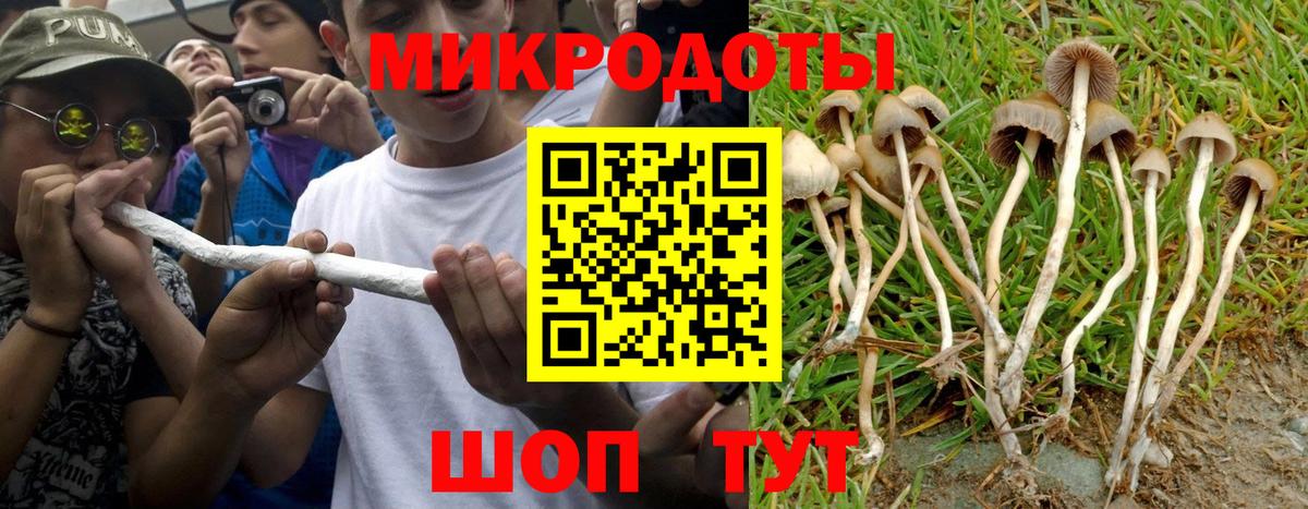 Псилоцибиновые грибы прущие грибы  Псилоцибиновые грибы Psilocybe  Чехов  Вход с VPN 