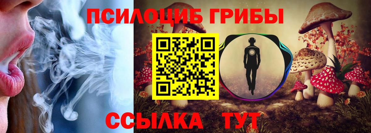 Псилоцибиновые грибы Magic Shrooms Чехов